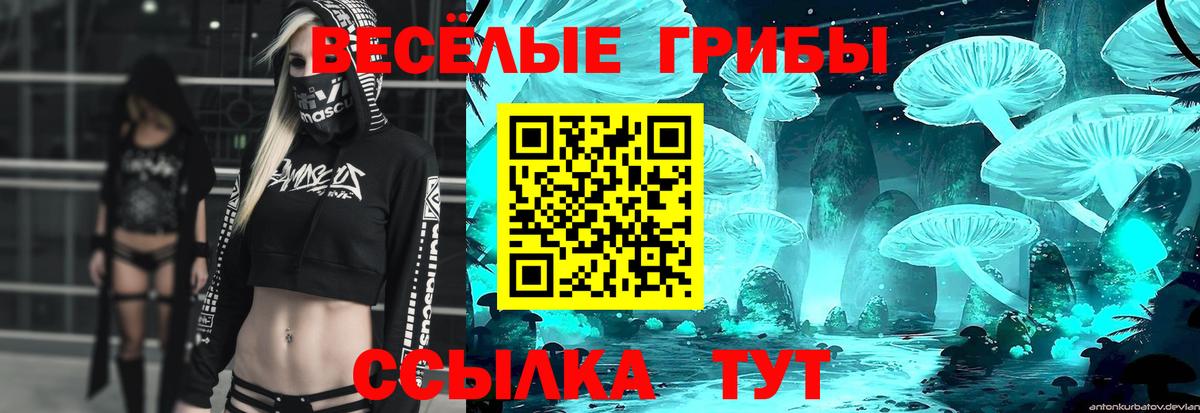 Саяногорск  Псилоцибиновые грибы Psilocybine cubensis  Вход с VPN 